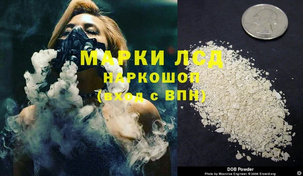 прущий лед Алзамай