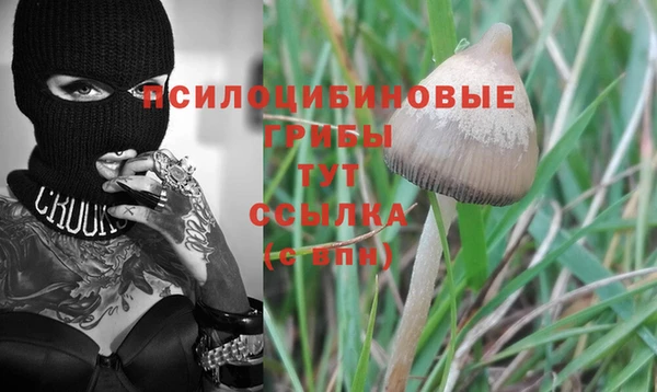 прущий лед Алзамай