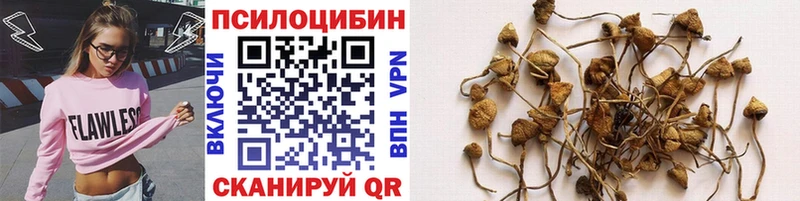 закладки  hydra как зайти  Псилоцибиновые грибы Psilocybe  Арамиль 